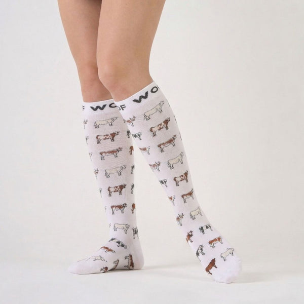 //kw.drwoofapparel.com/cdn/shopifycloud/storefront/assets/no-image-2048-a2addb12_grande.gif