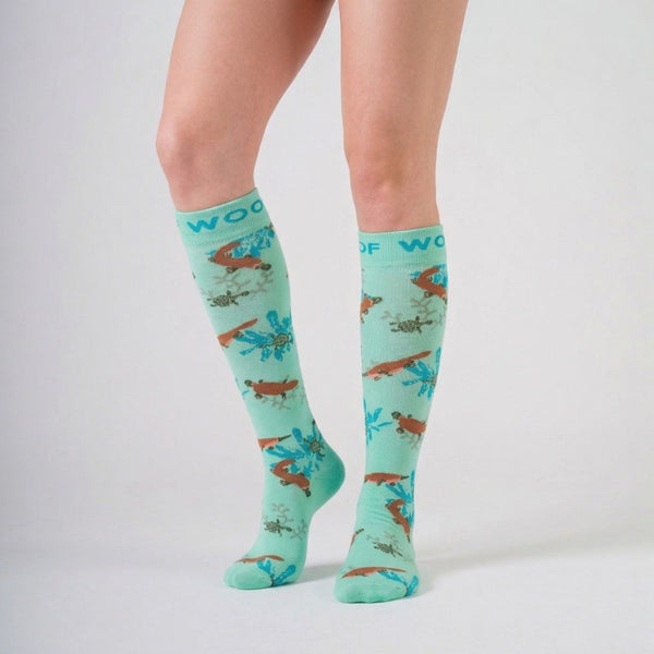//kw.drwoofapparel.com/cdn/shopifycloud/storefront/assets/no-image-2048-a2addb12_grande.gif