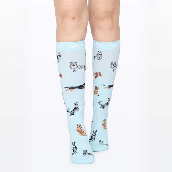 //kw.drwoofapparel.com/cdn/shopifycloud/storefront/assets/no-image-2048-a2addb12_grande.gif