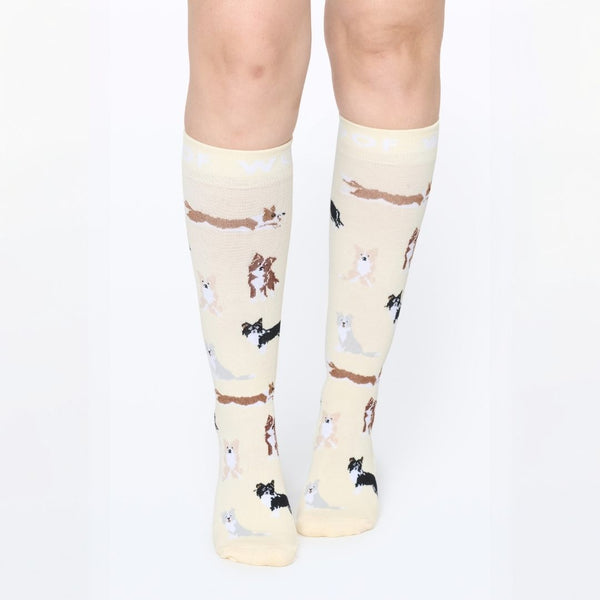 //kw.drwoofapparel.com/cdn/shopifycloud/storefront/assets/no-image-2048-a2addb12_grande.gif